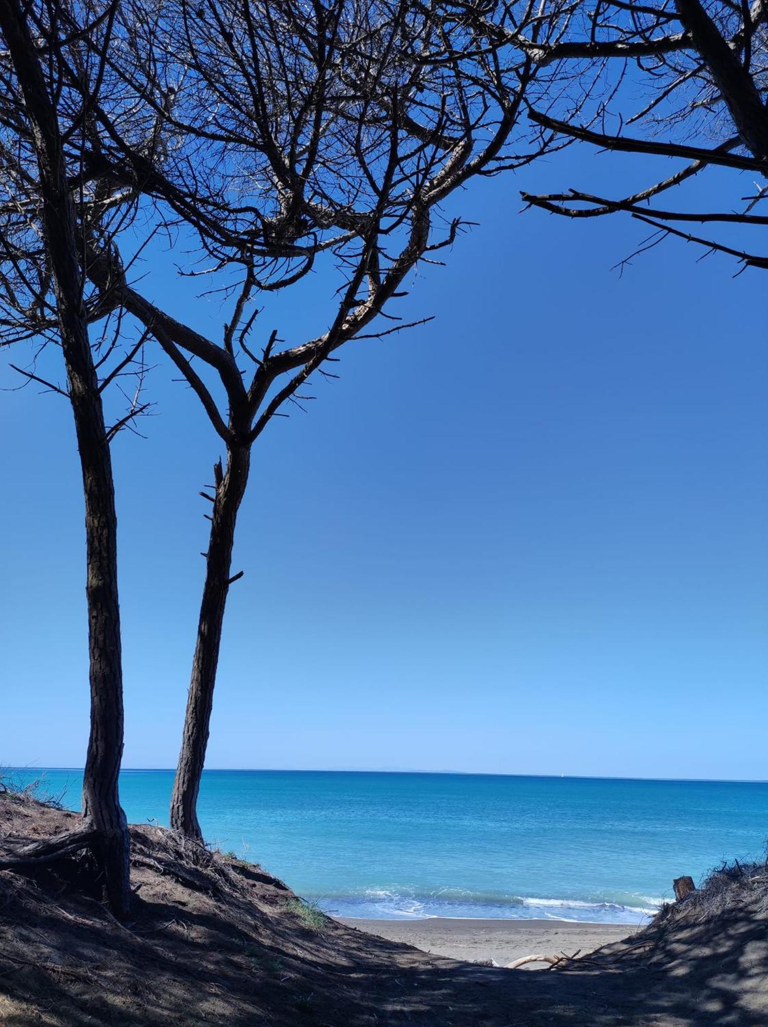 Mare Toscano Lägenhet Riparbella Exteriör bild